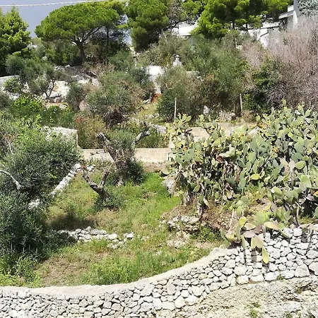 Guest house Le Cuccume 3*